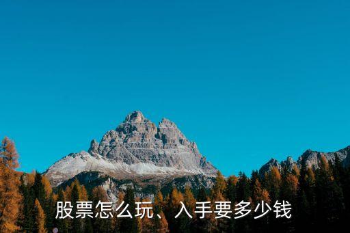 炒股入門需要多少錢,新手炒股入門多少錢合適