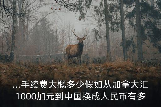 ...手續(xù)費(fèi)大概多少假如從加拿大匯1000加元到中國(guó)換成人民幣有多