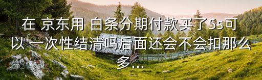 京東白條一次性付多少錢