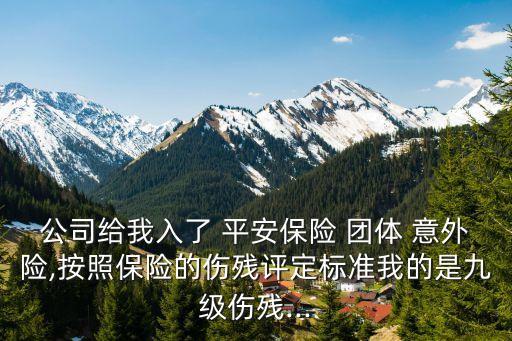 公司給我入了 平安保險 團(tuán)體 意外險,按照保險的傷殘評定標(biāo)準(zhǔn)我的是九級傷殘...
