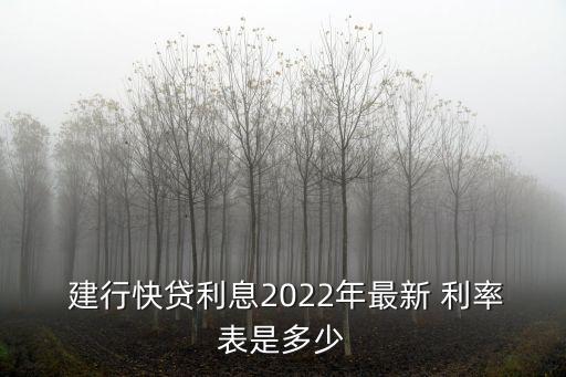 建行二貸款利率是多少,2011年建行貸款利率是多少