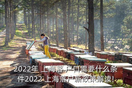 2022年 上海落 戶口需要什么條件2022 上海落戶新政策解讀!