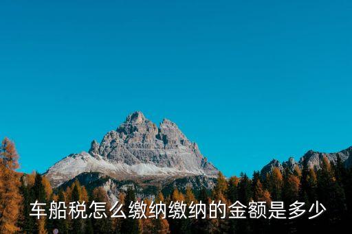  車船稅怎么繳納繳納的金額是多少