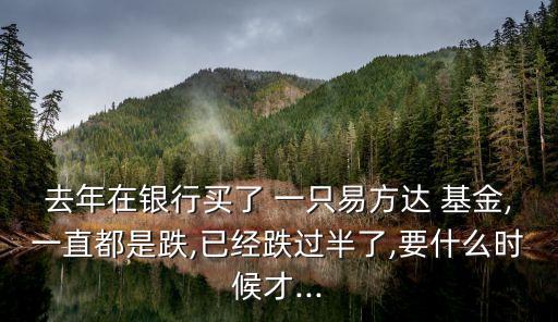 去年在銀行買了 一只易方達(dá) 基金,一直都是跌,已經(jīng)跌過半了,要什么時(shí)候才...