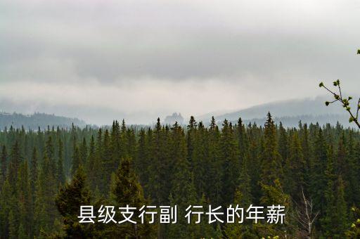  縣級支行副 行長的年薪