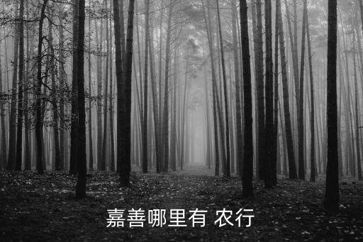 嘉善哪里有 農(nóng)行