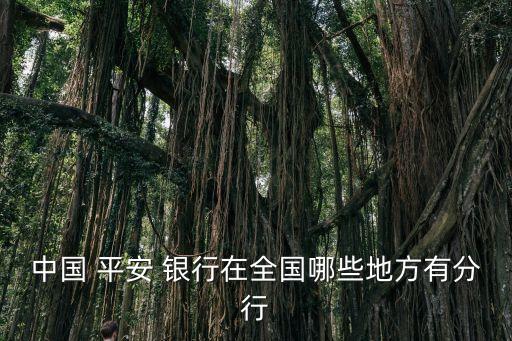中國 平安 銀行在全國哪些地方有分行