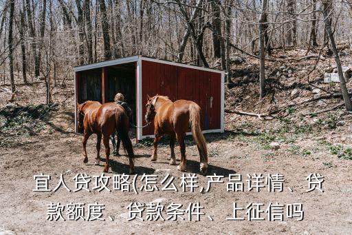  宜人貸攻略(怎么樣,產(chǎn)品詳情、貸款額度、貸款條件、上征信嗎