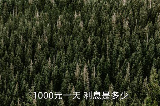  1000元一天 利息是多少