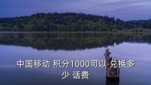 中國移動 積分1000可以 兌換多少 話費