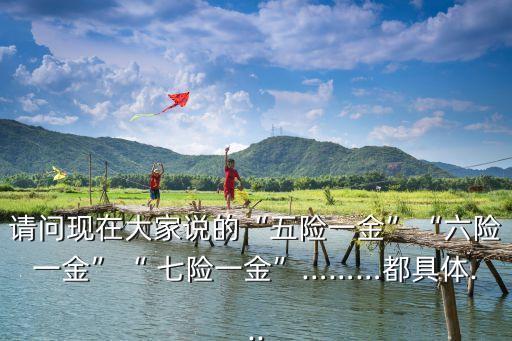 七險(xiǎn)兩金退休能拿多少