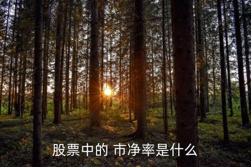 股票中的 市凈率是什么