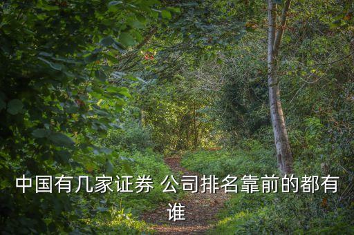 中國(guó)有幾家證券 公司排名靠前的都有誰(shuí)
