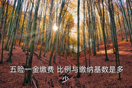 五險(xiǎn)的購買比例多少錢,個(gè)人購買五險(xiǎn)多少錢一個(gè)月