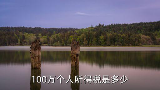 100萬個人所得稅是多少