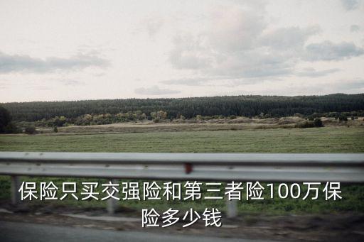 買100萬的車險多少錢,100萬車險大概需要多少錢
