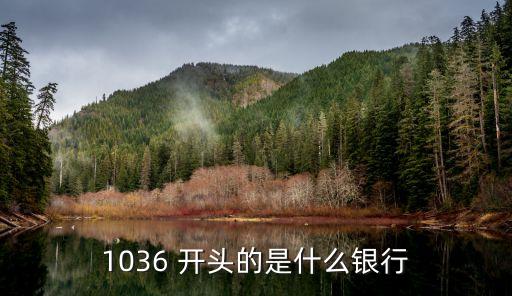 1036 開頭的是什么銀行