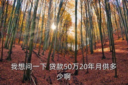 商鋪貸款50w月供多少