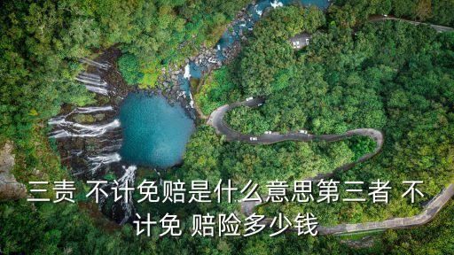 汽車不計免賠險多少錢,不計免賠并入三者了嗎
