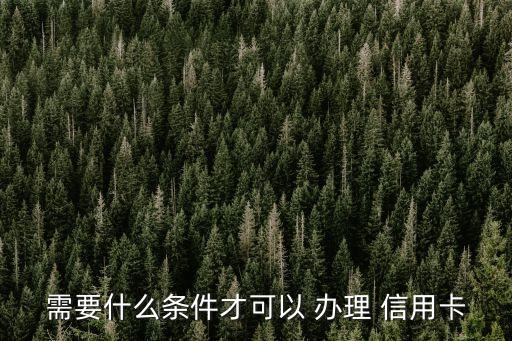 辦理興業(yè)信用卡必須滿多少周歲