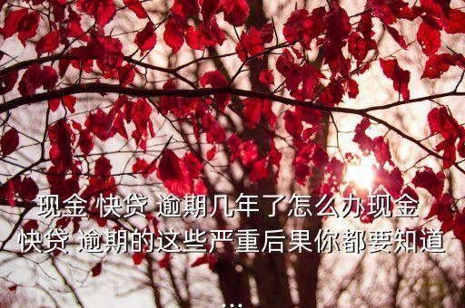 快貸逾期利息是多少