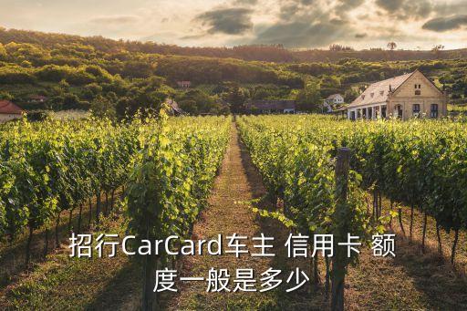 招行CarCard車主 信用卡 額度一般是多少
