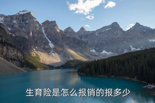 2016生育險(xiǎn)報(bào)多少,生育險(xiǎn)一般能報(bào)多少錢