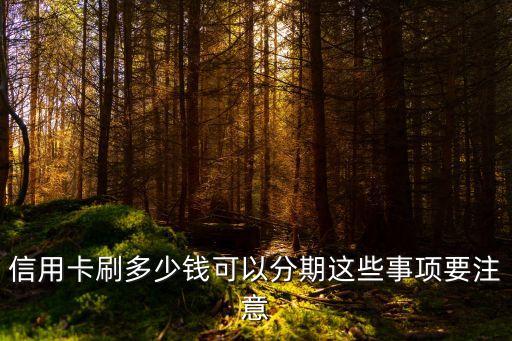 多少金額可以分期嗎,分期樂多少金額會起訴