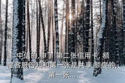 中信第二張卡額度多少