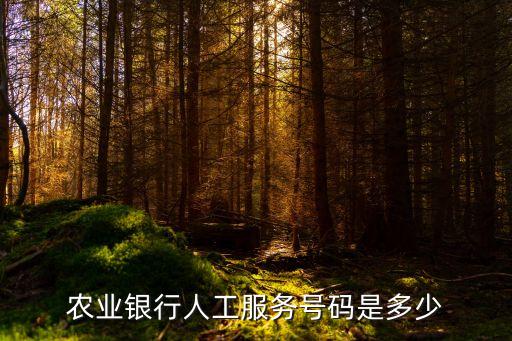 農(nóng)行電話(huà)號(hào)是多少啊,開(kāi)發(fā)區(qū)農(nóng)行電話(huà)是多少