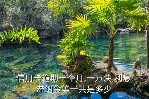  信用卡逾期一個月,一萬塊,利息 滯納金等一共是多少