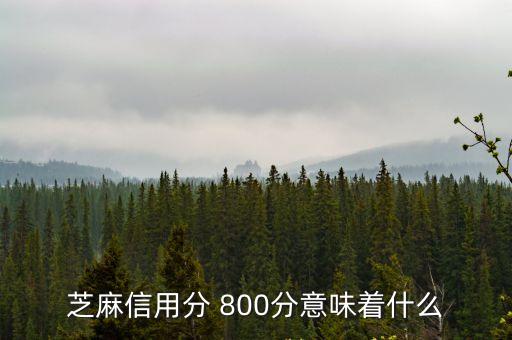 芝麻信用分 800分意味著什么