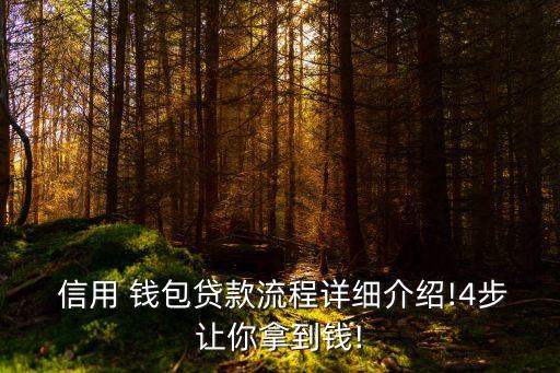  信用 錢包貸款流程詳細(xì)介紹!4步讓你拿到錢!