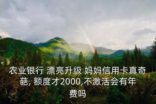 漂亮媽媽白金額度是多少,農(nóng)行的漂亮媽媽白金信用卡額度