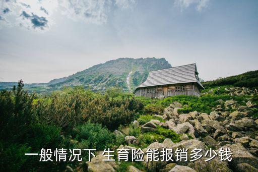 生育保險金有多少錢,男職工的生育保險金怎么使用啊