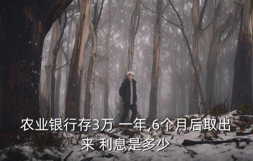 農(nóng)業(yè)銀行存3萬 一年,6個月后取出來 利息是多少
