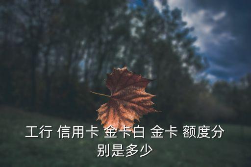 工行 信用卡 金卡白 金卡 額度分別是多少