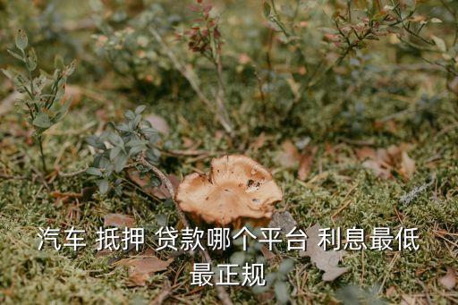 汽車 抵押 貸款哪個(gè)平臺(tái) 利息最低最正規(guī)