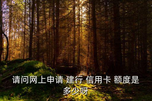 建行信用卡新卡的額度是多少錢