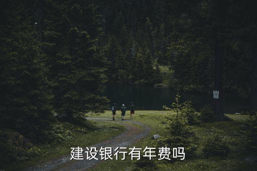 建行行用卡年費多少,建行信用卡哪種卡好批額度高