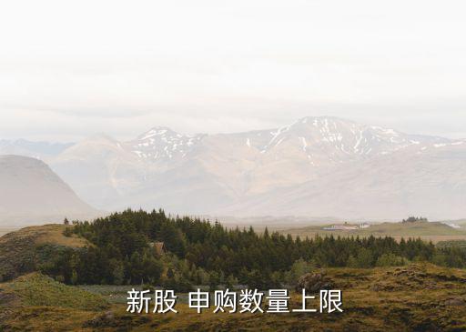  新股 申購數(shù)量上限