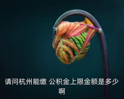 公積金月繳額最高是多少錢,北京市公積金個繳最高額是多少