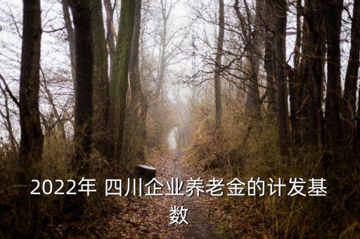 2022年 四川企業(yè)養(yǎng)老金的計發(fā)基數(shù)