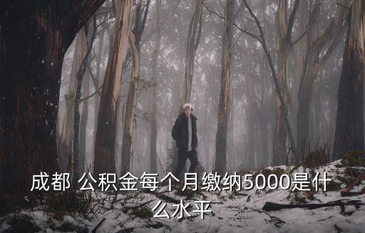 成都市公積金多少錢