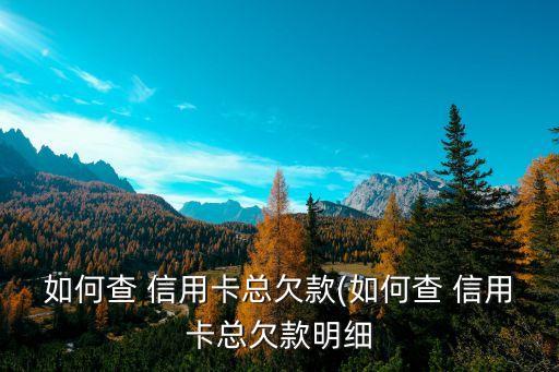 如何查 信用卡總欠款(如何查 信用卡總欠款明細