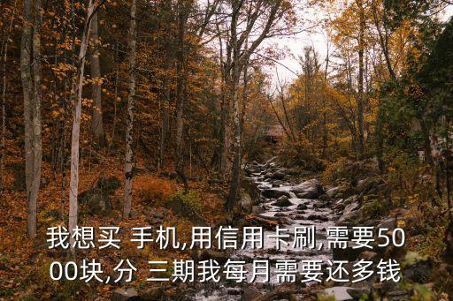 我想買(mǎi) 手機(jī),用信用卡刷,需要5000塊,分 三期我每月需要還多錢(qián)
