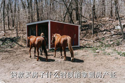 貸款一次性可以拿多少時(shí)間,大學(xué)貸款一次性能貸多少