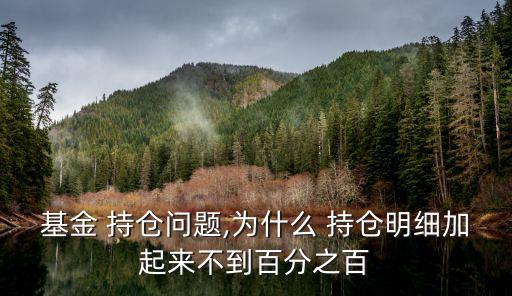 基金 持倉問題,為什么 持倉明細加起來不到百分之百