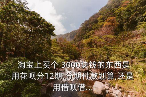  淘寶上買個(gè) 3000塊錢的東西是用花唄分12期,分期付款劃算,還是用借唄借...