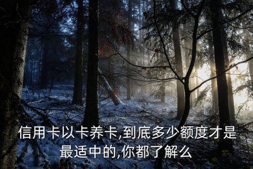  信用卡以卡養(yǎng)卡,到底多少額度才是最適中的,你都了解么